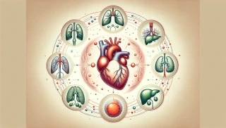 Konstitutionsabhängige Stärkung der Entgiftungsorgane -  das Herzstück der naturheilkundlichen Therapie.